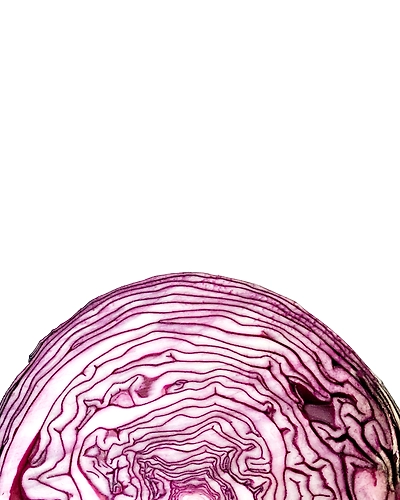 RED CABBAGE-1