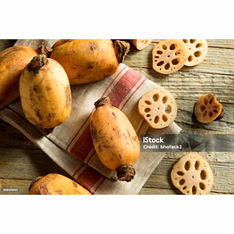 lotus root