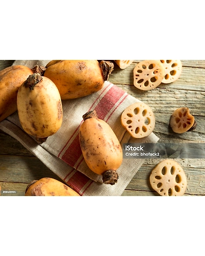 LOTUS ROOT-12337086