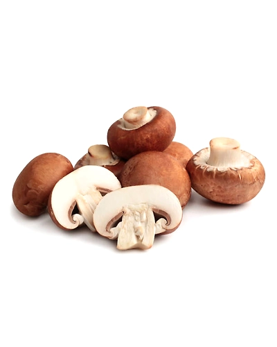 MUSHROOMS-4
