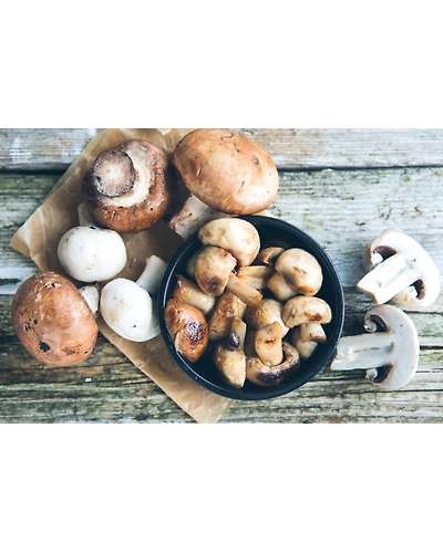 MUSHROOMS-12337090