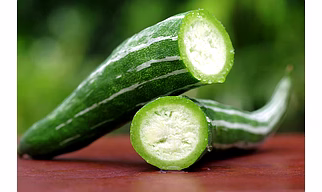 SNAKE GOURD