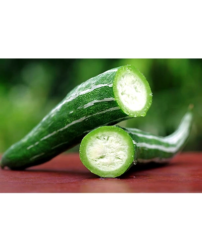 SNAKE GOURD-4