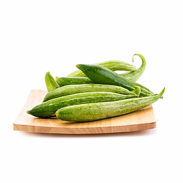 snake gourd