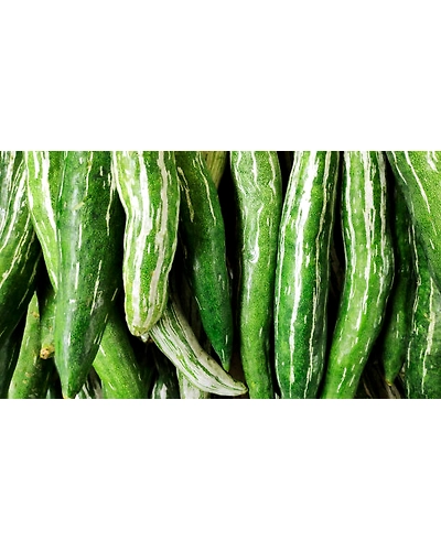 SNAKE GOURD-1