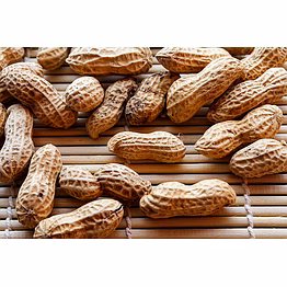peanut/ ground nut