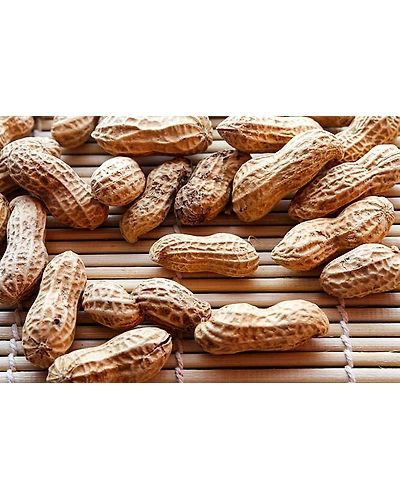 PEANUT/ GROUND NUT-12337098