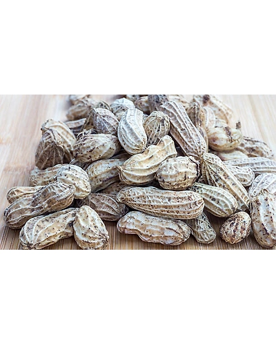 PEANUT/ GROUND NUT-3