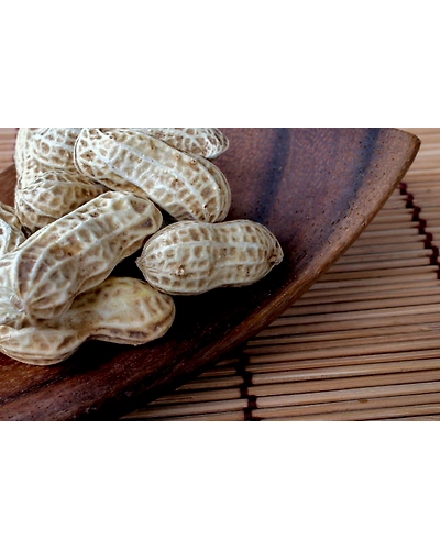 PEANUT/ GROUND NUT-2