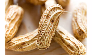 PEANUT/ GROUND NUT