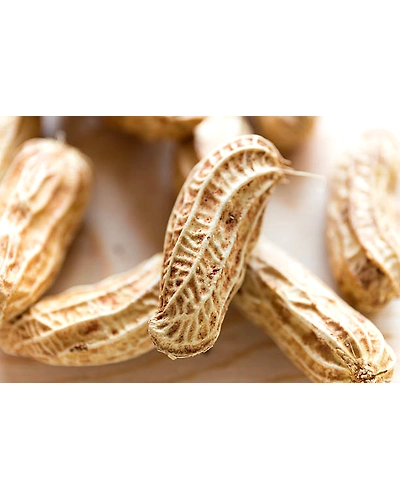 PEANUT/ GROUND NUT-1