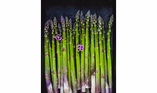 ASPARAGUS