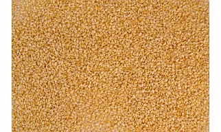 SESAME