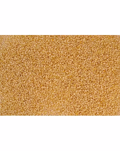 SESAME-2