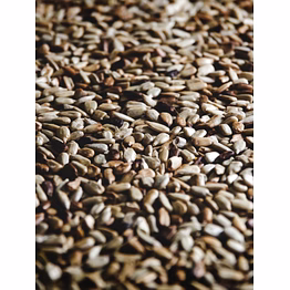 sesame