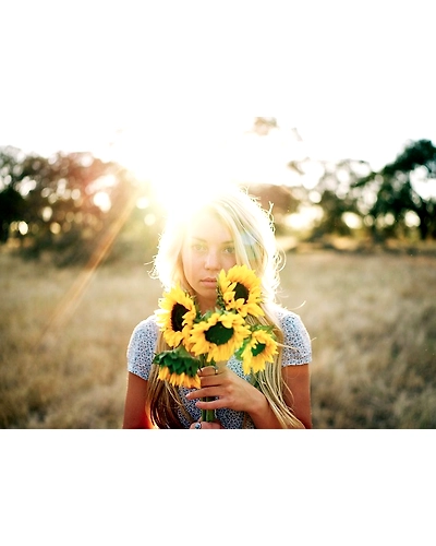 SUN FLOWER-2