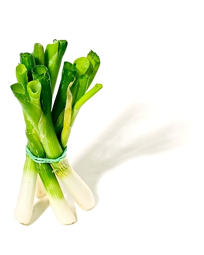 LEEKS-12337126