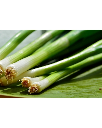 LEEKS-1