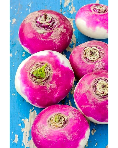 TURNIP-1
