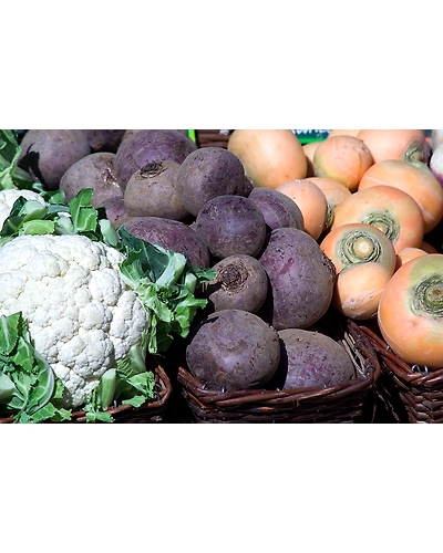 TURNIP-2