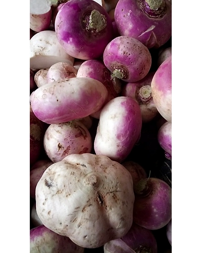 TURNIP-3