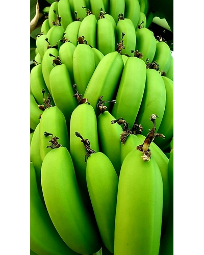RAW BANANA-5