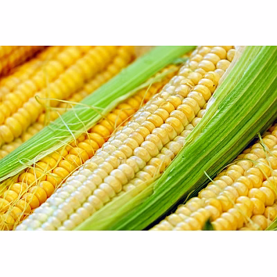 corn