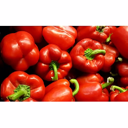 red bell pepper
