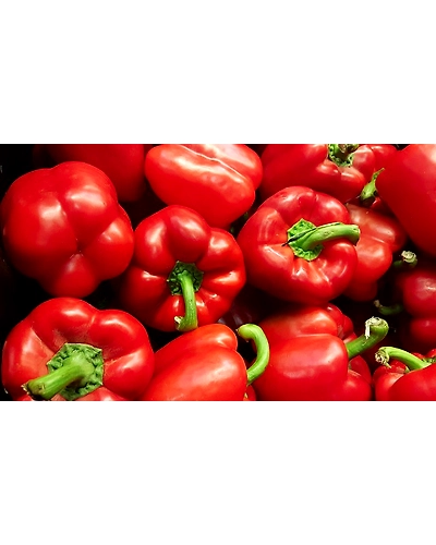 GREEN BELL PEPPERS-3