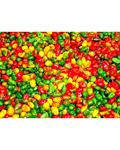 GREEN BELL PEPPERS-2