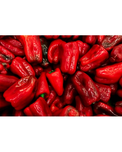 RED BELL PEPPER-1