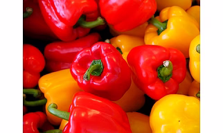 RED BELL PEPPER