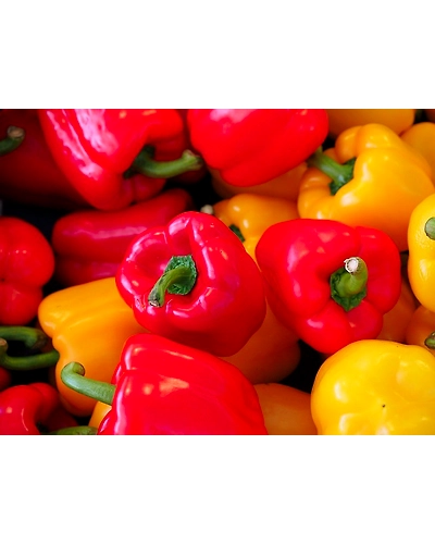 RED BELL PEPPER-2