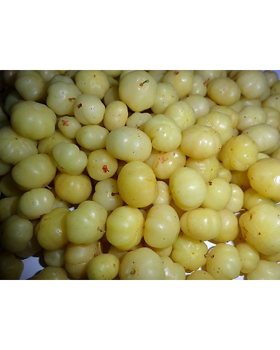 AMLA-3