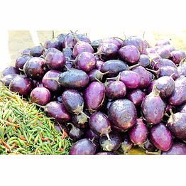 brinjal (baingan)