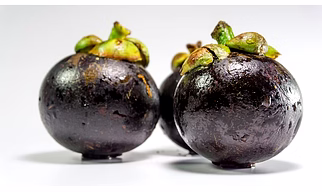 MANGOSTEENS