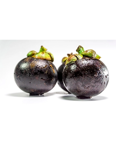 MANGOSTEENS-4