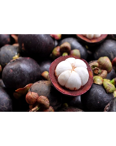MANGOSTEENS-3