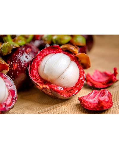 MANGOSTEENS-12337216