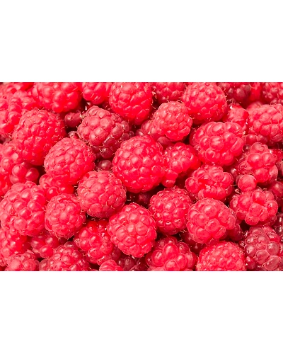 RASPBERRIES-1