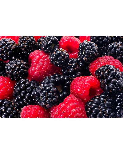 MULBERRIES-3