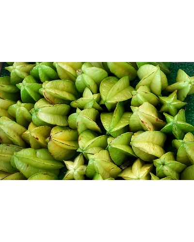 CARAMBOLA-3