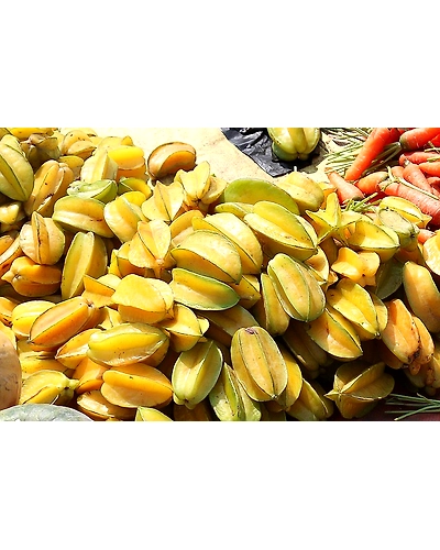 CARAMBOLA-12337244