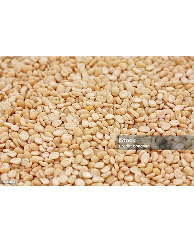 SPLIT AND SKINNED BLACK GRAM ( URAD DAAL )-2