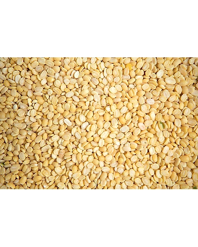 SPLIT AND SKINNED BLACK GRAM ( URAD DAAL )-12337262