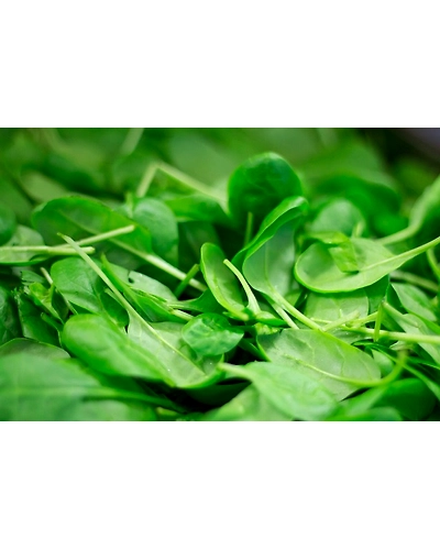 SPINACH-1