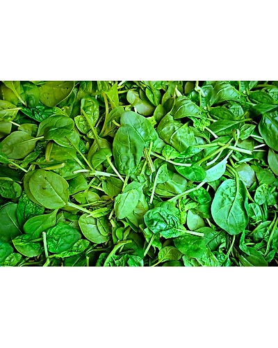 SPINACH-3