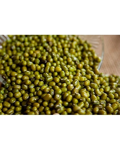 GREEN GRAM BEANS-12337304