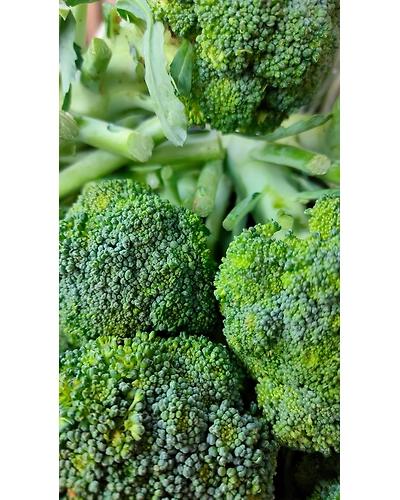 BROCCOLI-1