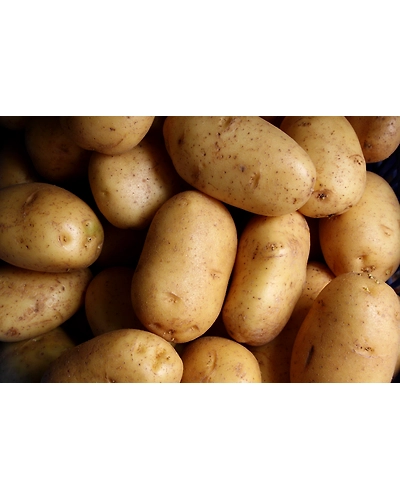 POTATOES-12337524